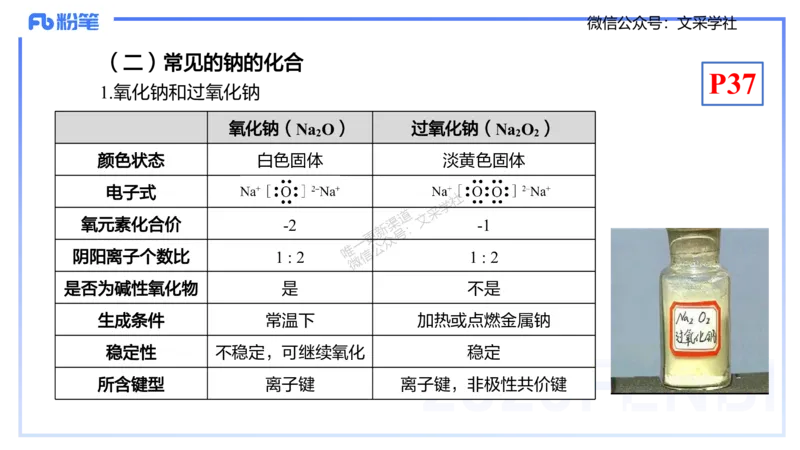 理论精讲05-元素化合物1-岳筱涵_4-教培资料-26年最新资料-同步更新_初中高中教资_03科三专项（进去保存报考的学科即可）_01科目三FB网课、三色速记手册、知识点导图等推荐