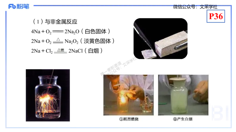 理论精讲05-元素化合物1-岳筱涵_4-教培资料-26年最新资料-同步更新_初中高中教资_03科三专项（进去保存报考的学科即可）_01科目三FB网课、三色速记手册、知识点导图等推荐