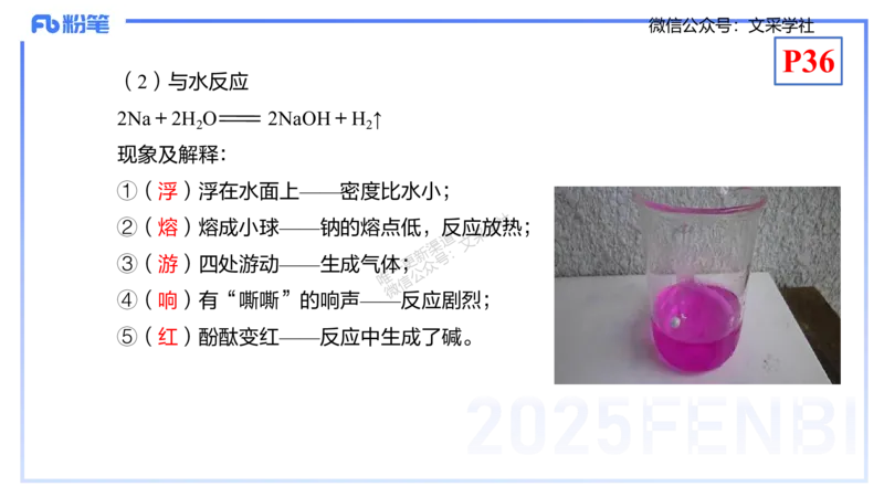 理论精讲05-元素化合物1-岳筱涵_4-教培资料-26年最新资料-同步更新_初中高中教资_03科三专项（进去保存报考的学科即可）_01科目三FB网课、三色速记手册、知识点导图等推荐