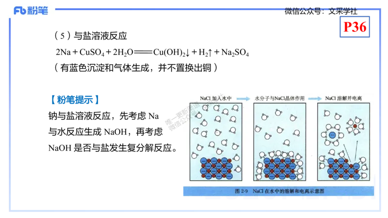 理论精讲05-元素化合物1-岳筱涵_4-教培资料-26年最新资料-同步更新_初中高中教资_03科三专项（进去保存报考的学科即可）_01科目三FB网课、三色速记手册、知识点导图等推荐
