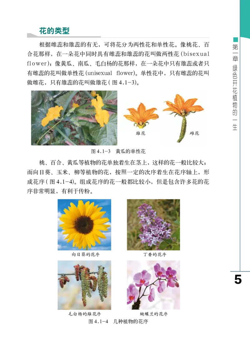 济南版8年级生物上册高清教材_4-教培资料-26年最新资料-同步更新_初中高中教资_03科三专项（进去保存报考的学科即可）_02科三专项（笔记真题思维导图教学设计版本二）