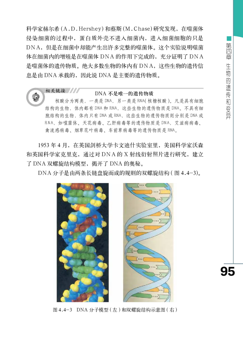 济南版8年级生物上册高清教材_4-教培资料-26年最新资料-同步更新_初中高中教资_03科三专项（进去保存报考的学科即可）_02科三专项（笔记真题思维导图教学设计版本二）