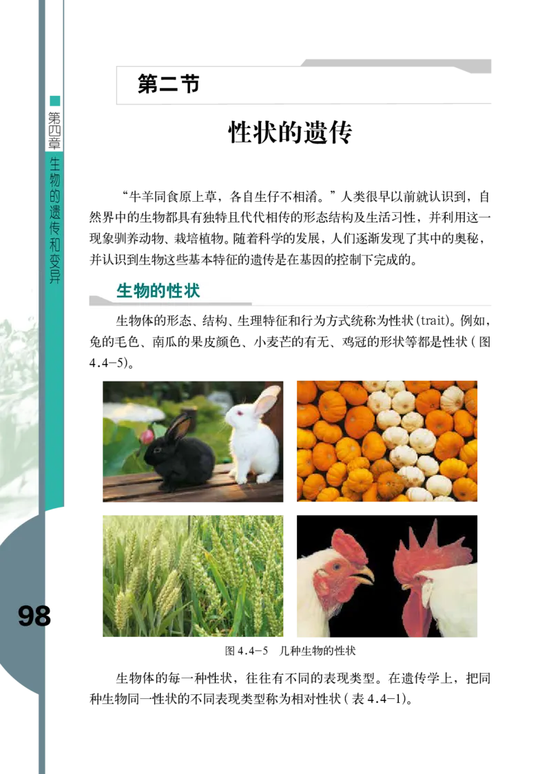 济南版8年级生物上册高清教材_4-教培资料-26年最新资料-同步更新_初中高中教资_03科三专项（进去保存报考的学科即可）_02科三专项（笔记真题思维导图教学设计版本二）
