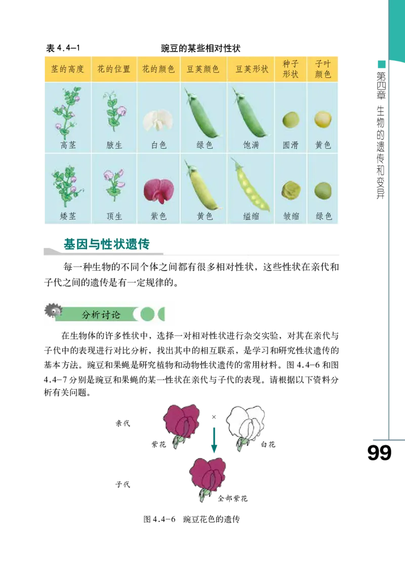 济南版8年级生物上册高清教材_4-教培资料-26年最新资料-同步更新_初中高中教资_03科三专项（进去保存报考的学科即可）_02科三专项（笔记真题思维导图教学设计版本二）