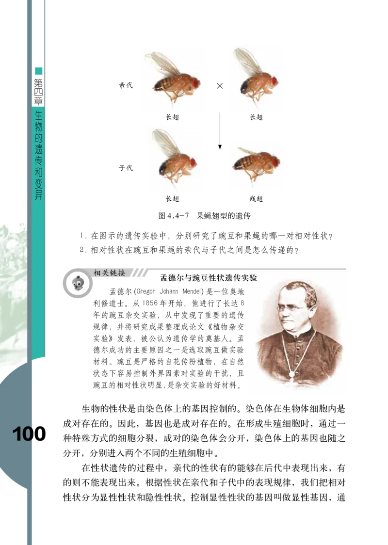 济南版8年级生物上册高清教材_4-教培资料-26年最新资料-同步更新_初中高中教资_03科三专项（进去保存报考的学科即可）_02科三专项（笔记真题思维导图教学设计版本二）