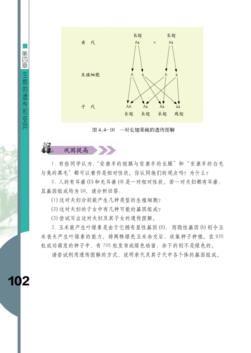 济南版8年级生物上册高清教材_4-教培资料-26年最新资料-同步更新_初中高中教资_03科三专项（进去保存报考的学科即可）_02科三专项（笔记真题思维导图教学设计版本二）