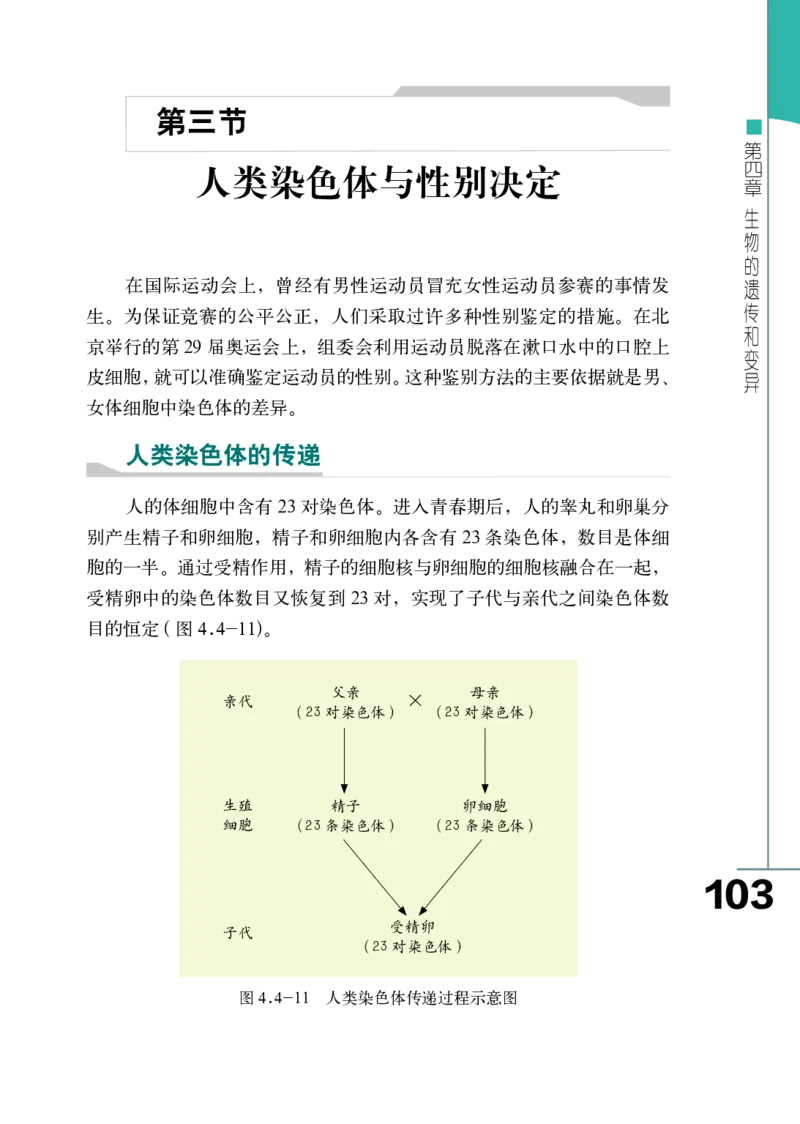 济南版8年级生物上册高清教材_4-教培资料-26年最新资料-同步更新_初中高中教资_03科三专项（进去保存报考的学科即可）_02科三专项（笔记真题思维导图教学设计版本二）