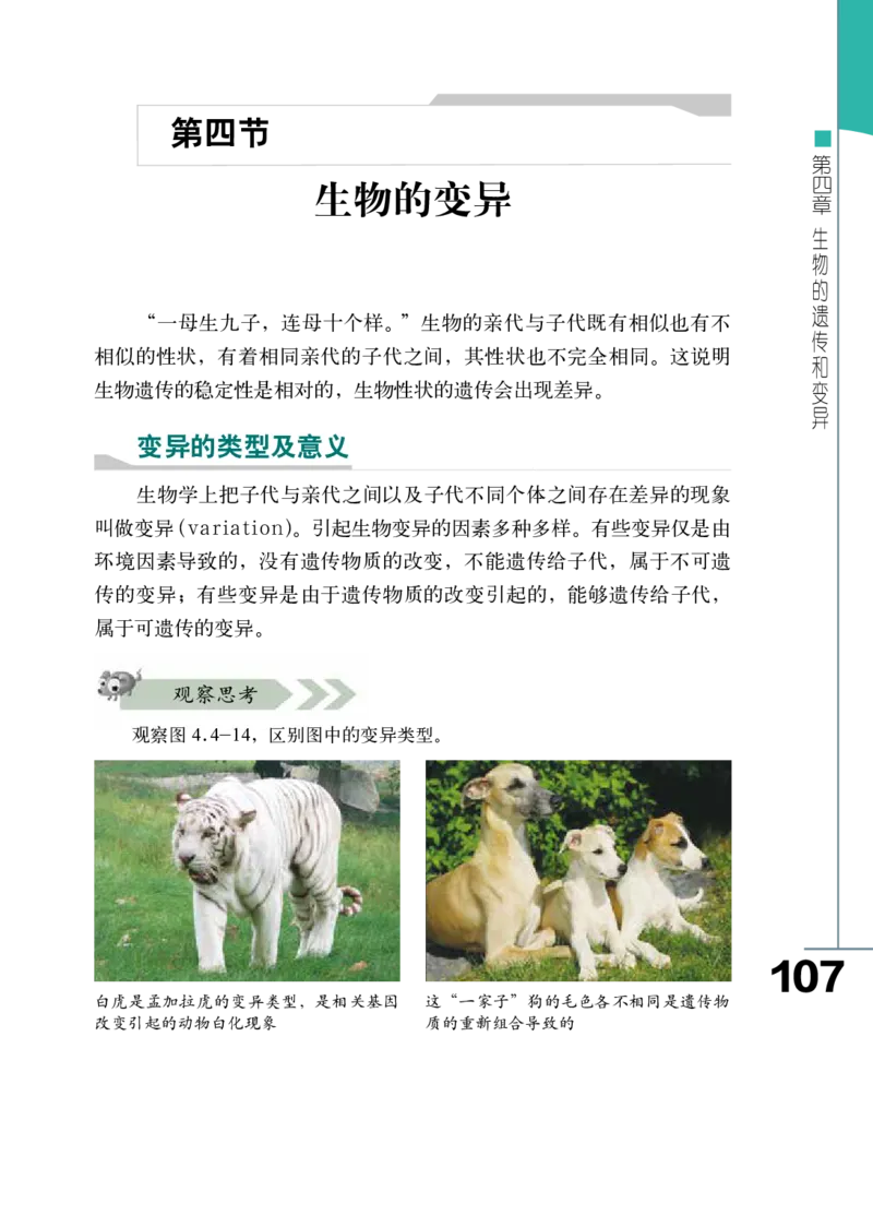 济南版8年级生物上册高清教材_4-教培资料-26年最新资料-同步更新_初中高中教资_03科三专项（进去保存报考的学科即可）_02科三专项（笔记真题思维导图教学设计版本二）