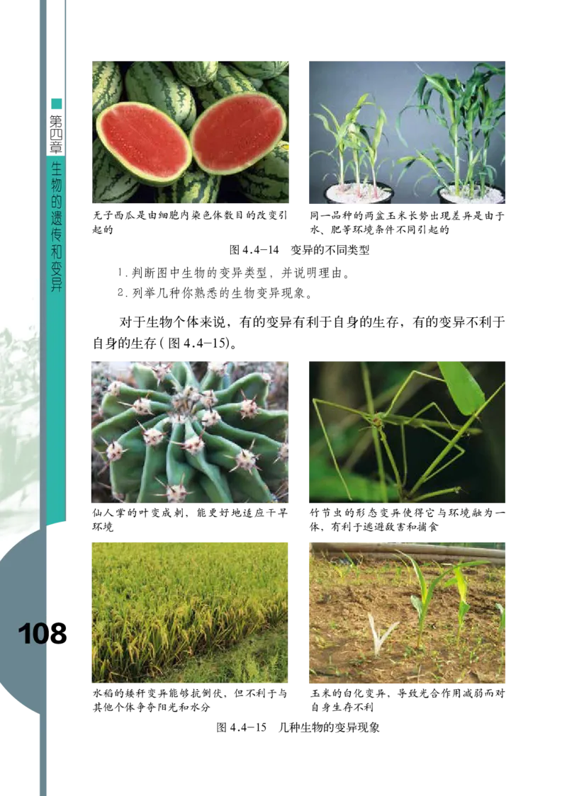 济南版8年级生物上册高清教材_4-教培资料-26年最新资料-同步更新_初中高中教资_03科三专项（进去保存报考的学科即可）_02科三专项（笔记真题思维导图教学设计版本二）