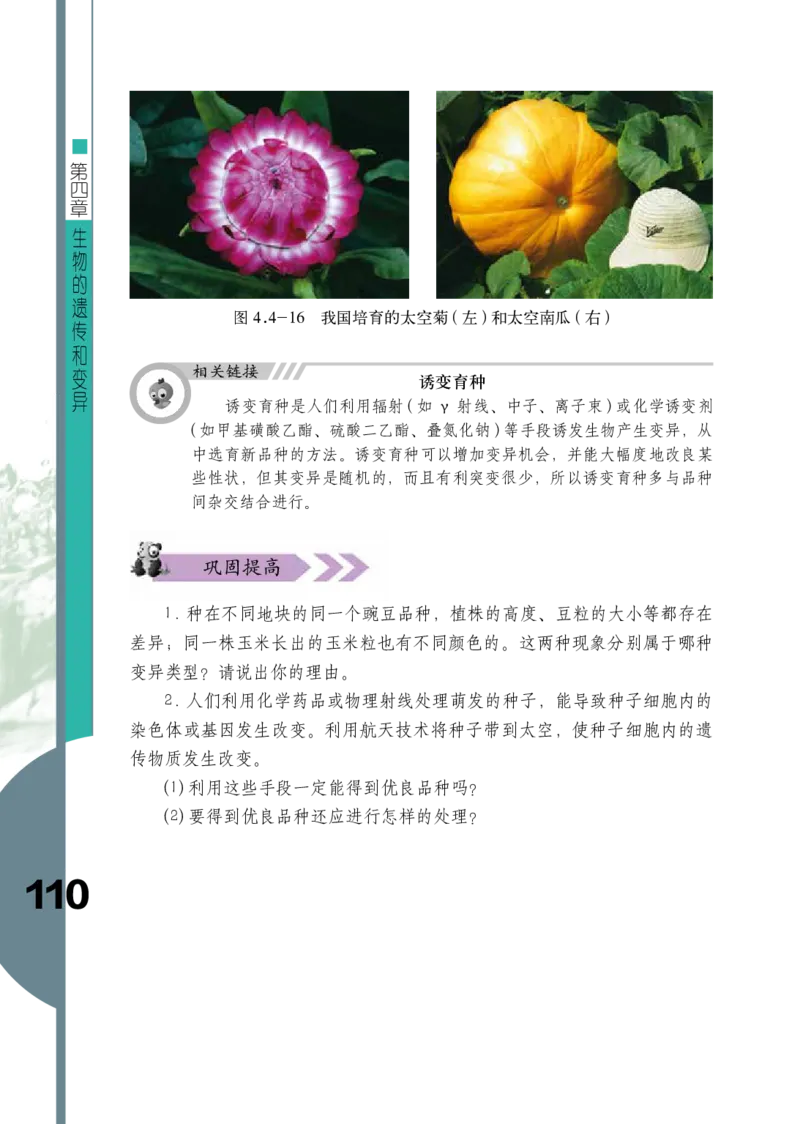 济南版8年级生物上册高清教材_4-教培资料-26年最新资料-同步更新_初中高中教资_03科三专项（进去保存报考的学科即可）_02科三专项（笔记真题思维导图教学设计版本二）