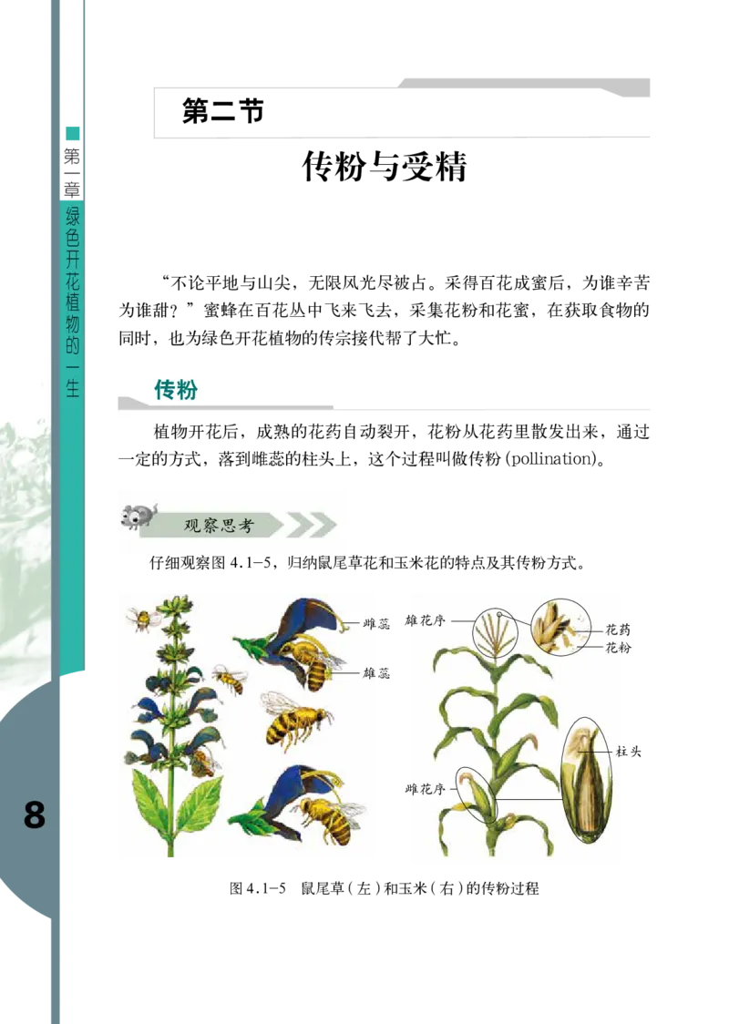 济南版8年级生物上册高清教材_4-教培资料-26年最新资料-同步更新_初中高中教资_03科三专项（进去保存报考的学科即可）_02科三专项（笔记真题思维导图教学设计版本二）