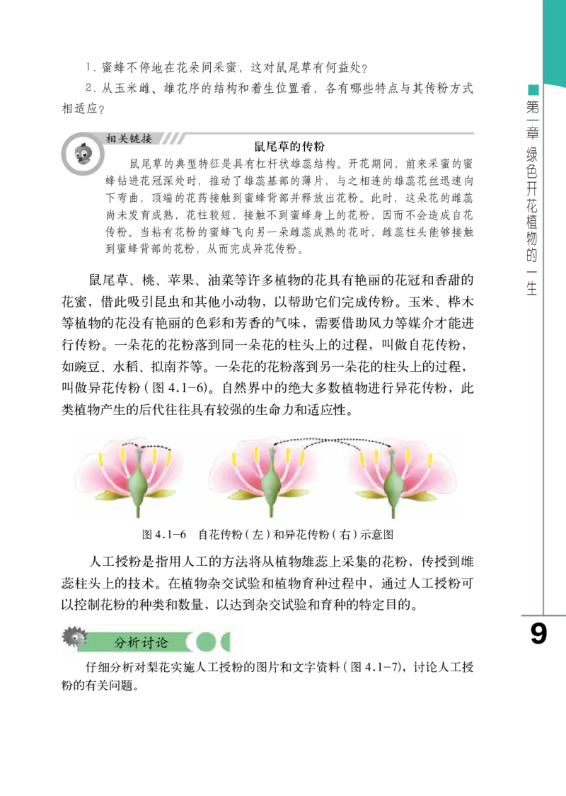 济南版8年级生物上册高清教材_4-教培资料-26年最新资料-同步更新_初中高中教资_03科三专项（进去保存报考的学科即可）_02科三专项（笔记真题思维导图教学设计版本二）