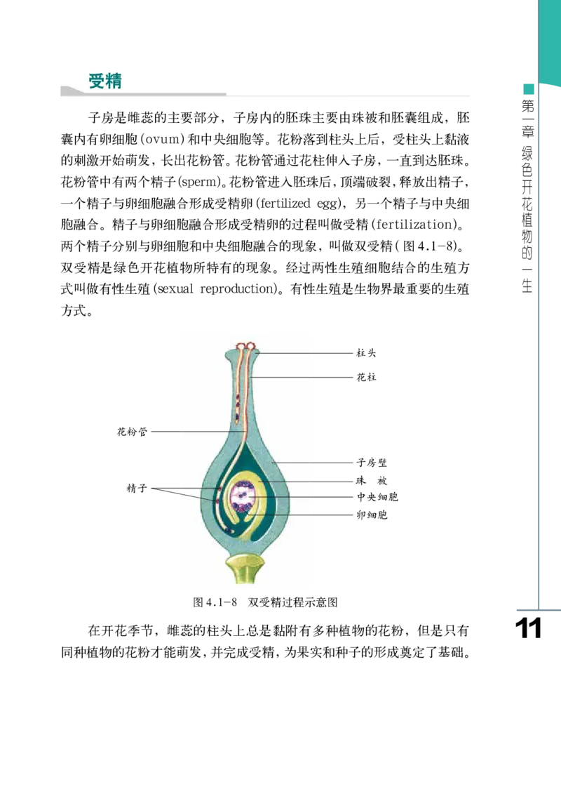 济南版8年级生物上册高清教材_4-教培资料-26年最新资料-同步更新_初中高中教资_03科三专项（进去保存报考的学科即可）_02科三专项（笔记真题思维导图教学设计版本二）