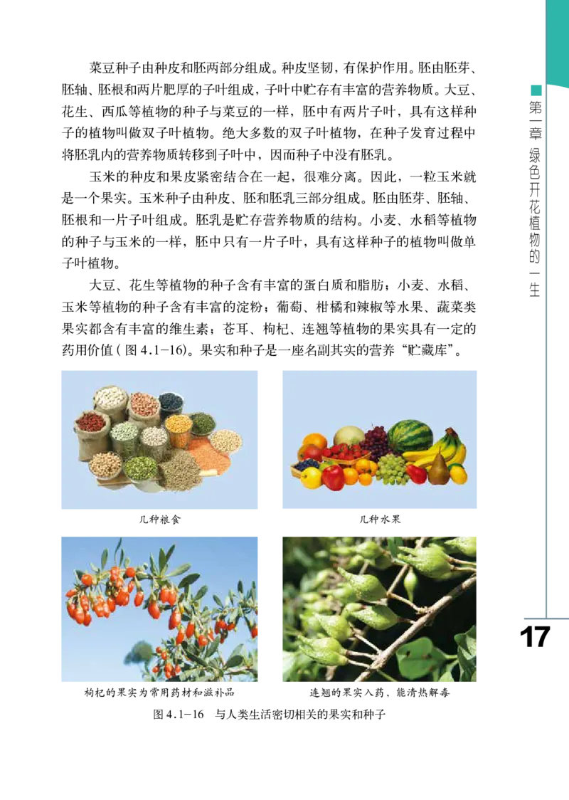 济南版8年级生物上册高清教材_4-教培资料-26年最新资料-同步更新_初中高中教资_03科三专项（进去保存报考的学科即可）_02科三专项（笔记真题思维导图教学设计版本二）