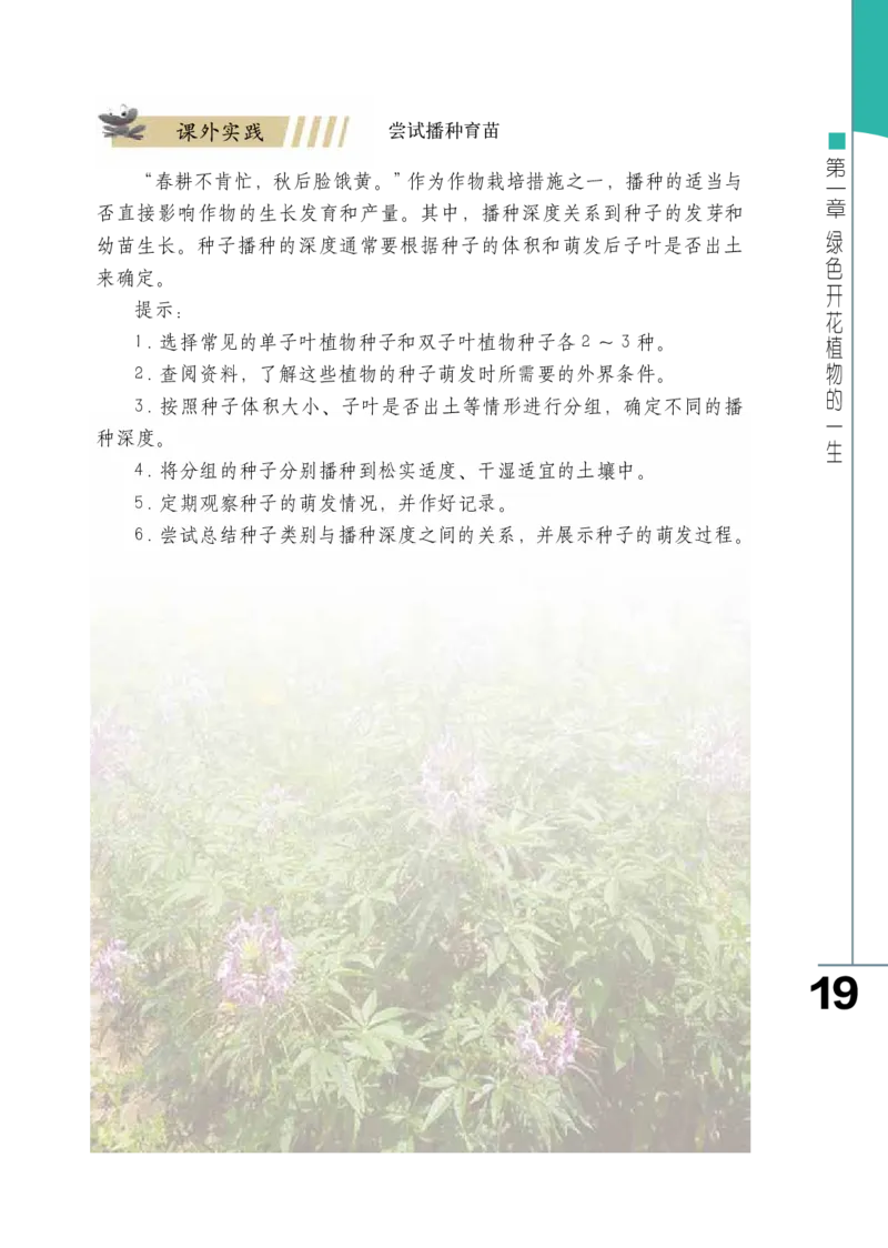 济南版8年级生物上册高清教材_4-教培资料-26年最新资料-同步更新_初中高中教资_03科三专项（进去保存报考的学科即可）_02科三专项（笔记真题思维导图教学设计版本二）