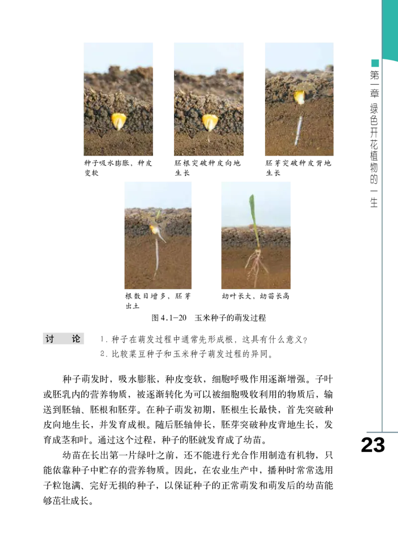 济南版8年级生物上册高清教材_4-教培资料-26年最新资料-同步更新_初中高中教资_03科三专项（进去保存报考的学科即可）_02科三专项（笔记真题思维导图教学设计版本二）