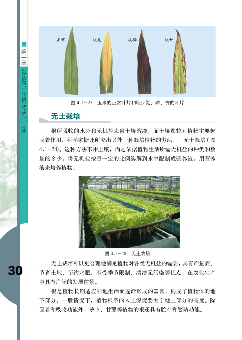 济南版8年级生物上册高清教材_4-教培资料-26年最新资料-同步更新_初中高中教资_03科三专项（进去保存报考的学科即可）_02科三专项（笔记真题思维导图教学设计版本二）