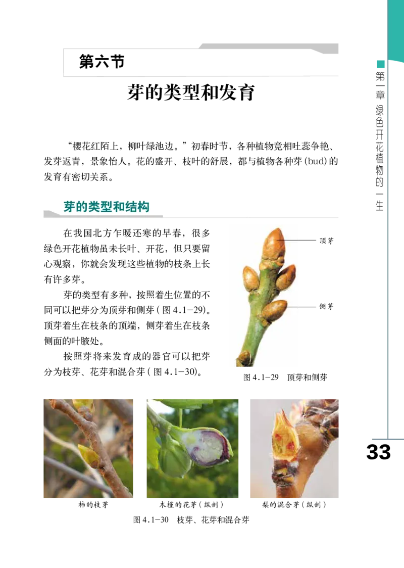 济南版8年级生物上册高清教材_4-教培资料-26年最新资料-同步更新_初中高中教资_03科三专项（进去保存报考的学科即可）_02科三专项（笔记真题思维导图教学设计版本二）