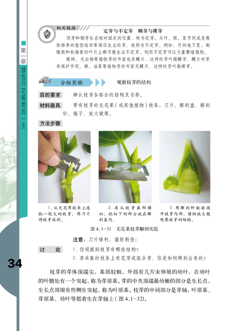 济南版8年级生物上册高清教材_4-教培资料-26年最新资料-同步更新_初中高中教资_03科三专项（进去保存报考的学科即可）_02科三专项（笔记真题思维导图教学设计版本二）