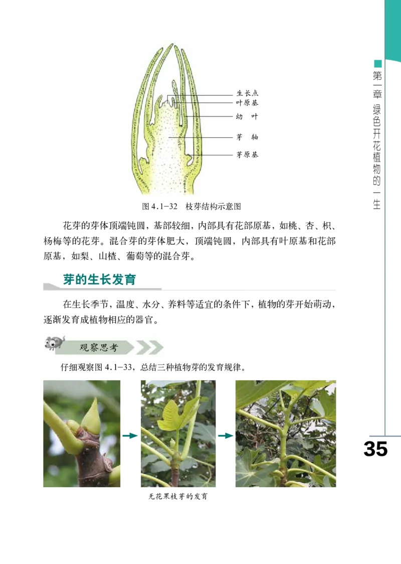 济南版8年级生物上册高清教材_4-教培资料-26年最新资料-同步更新_初中高中教资_03科三专项（进去保存报考的学科即可）_02科三专项（笔记真题思维导图教学设计版本二）