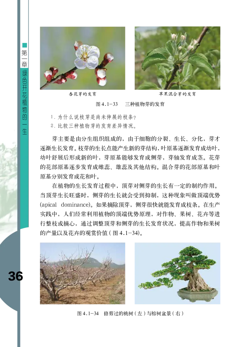济南版8年级生物上册高清教材_4-教培资料-26年最新资料-同步更新_初中高中教资_03科三专项（进去保存报考的学科即可）_02科三专项（笔记真题思维导图教学设计版本二）
