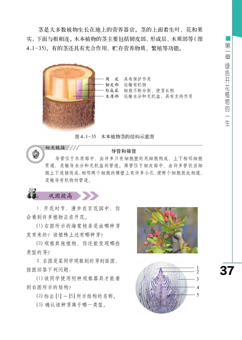 济南版8年级生物上册高清教材_4-教培资料-26年最新资料-同步更新_初中高中教资_03科三专项（进去保存报考的学科即可）_02科三专项（笔记真题思维导图教学设计版本二）