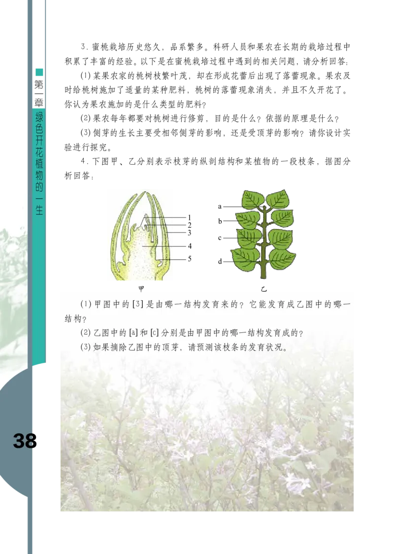 济南版8年级生物上册高清教材_4-教培资料-26年最新资料-同步更新_初中高中教资_03科三专项（进去保存报考的学科即可）_02科三专项（笔记真题思维导图教学设计版本二）