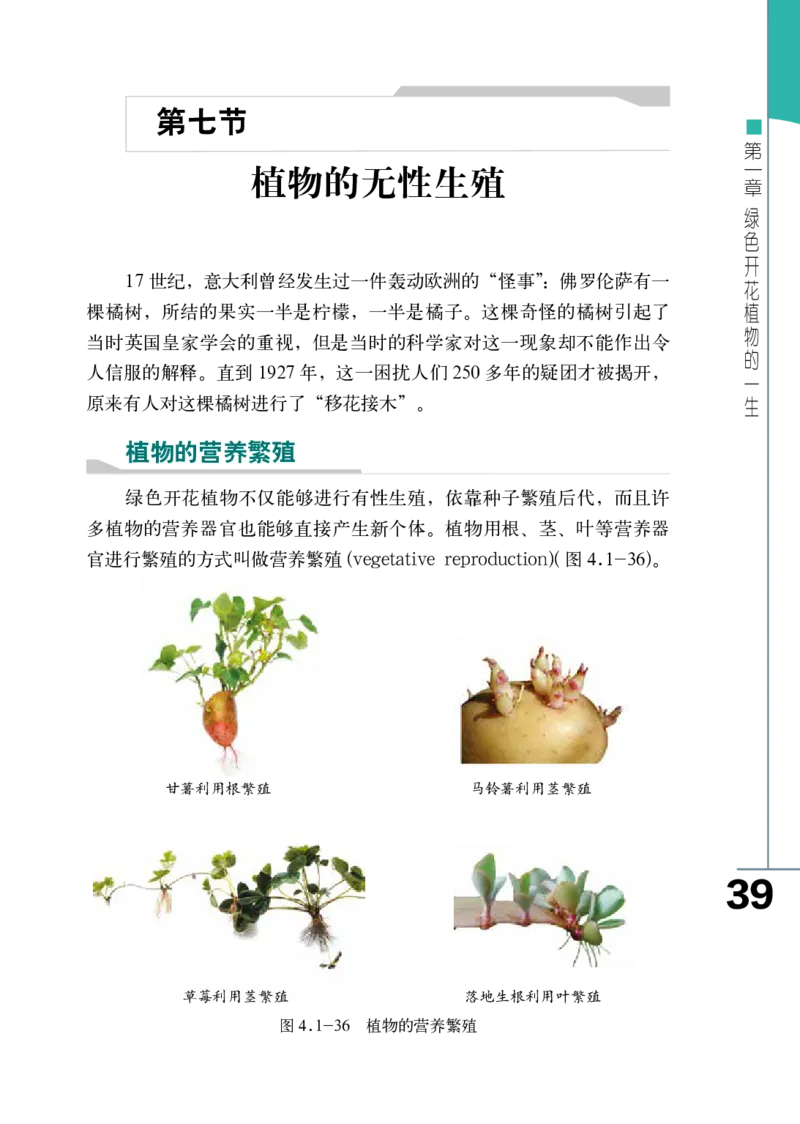 济南版8年级生物上册高清教材_4-教培资料-26年最新资料-同步更新_初中高中教资_03科三专项（进去保存报考的学科即可）_02科三专项（笔记真题思维导图教学设计版本二）