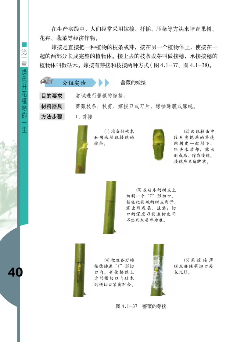 济南版8年级生物上册高清教材_4-教培资料-26年最新资料-同步更新_初中高中教资_03科三专项（进去保存报考的学科即可）_02科三专项（笔记真题思维导图教学设计版本二）