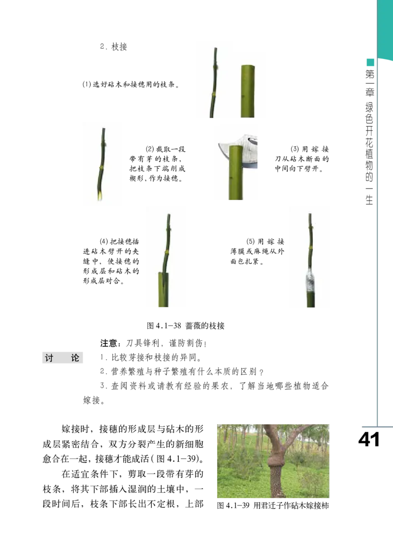 济南版8年级生物上册高清教材_4-教培资料-26年最新资料-同步更新_初中高中教资_03科三专项（进去保存报考的学科即可）_02科三专项（笔记真题思维导图教学设计版本二）