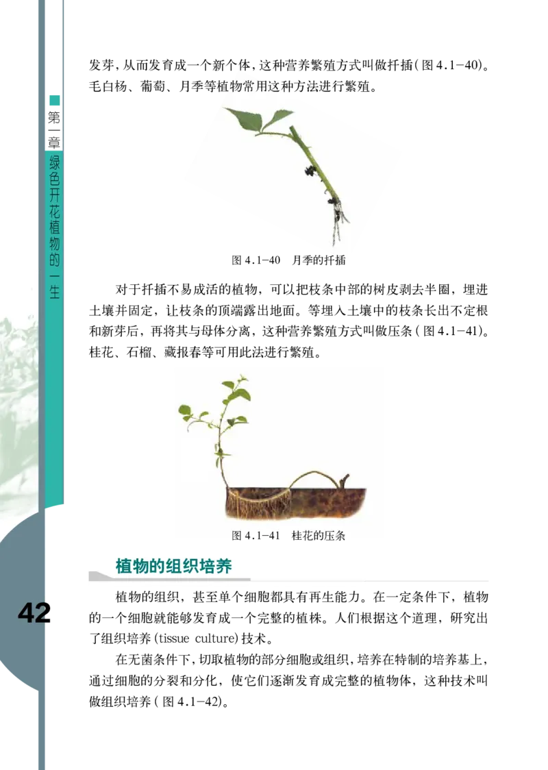 济南版8年级生物上册高清教材_4-教培资料-26年最新资料-同步更新_初中高中教资_03科三专项（进去保存报考的学科即可）_02科三专项（笔记真题思维导图教学设计版本二）