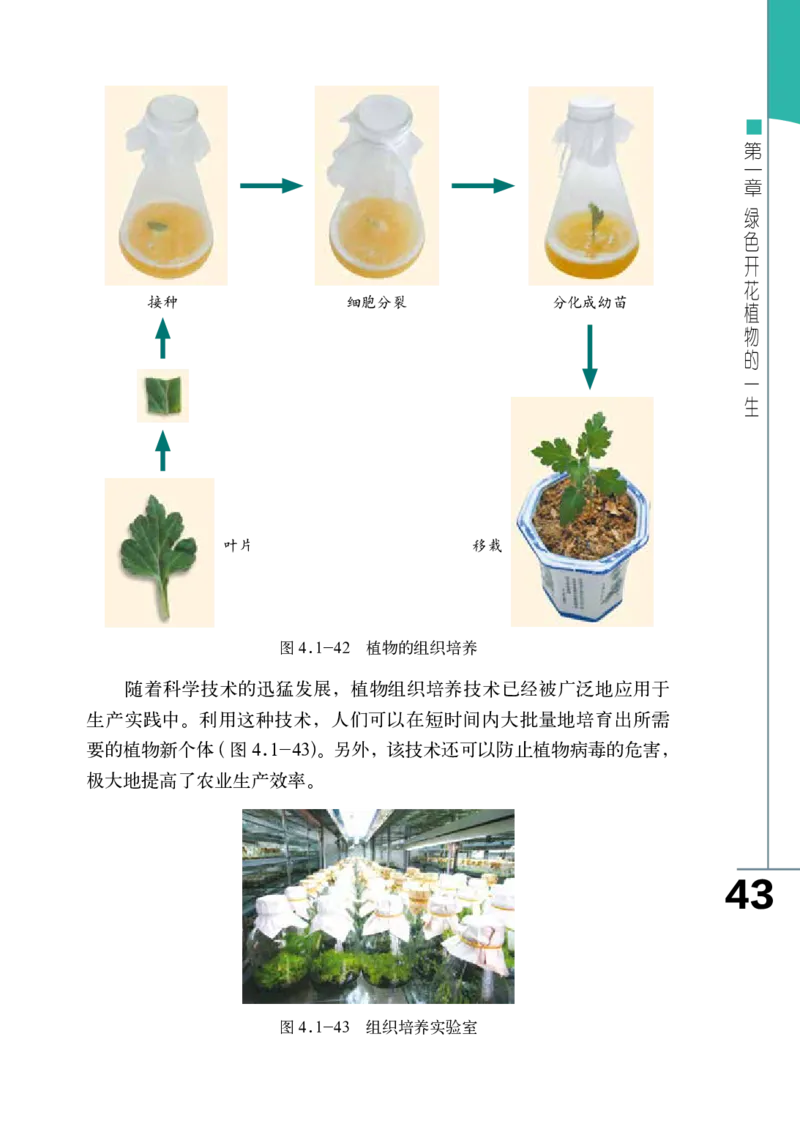 济南版8年级生物上册高清教材_4-教培资料-26年最新资料-同步更新_初中高中教资_03科三专项（进去保存报考的学科即可）_02科三专项（笔记真题思维导图教学设计版本二）