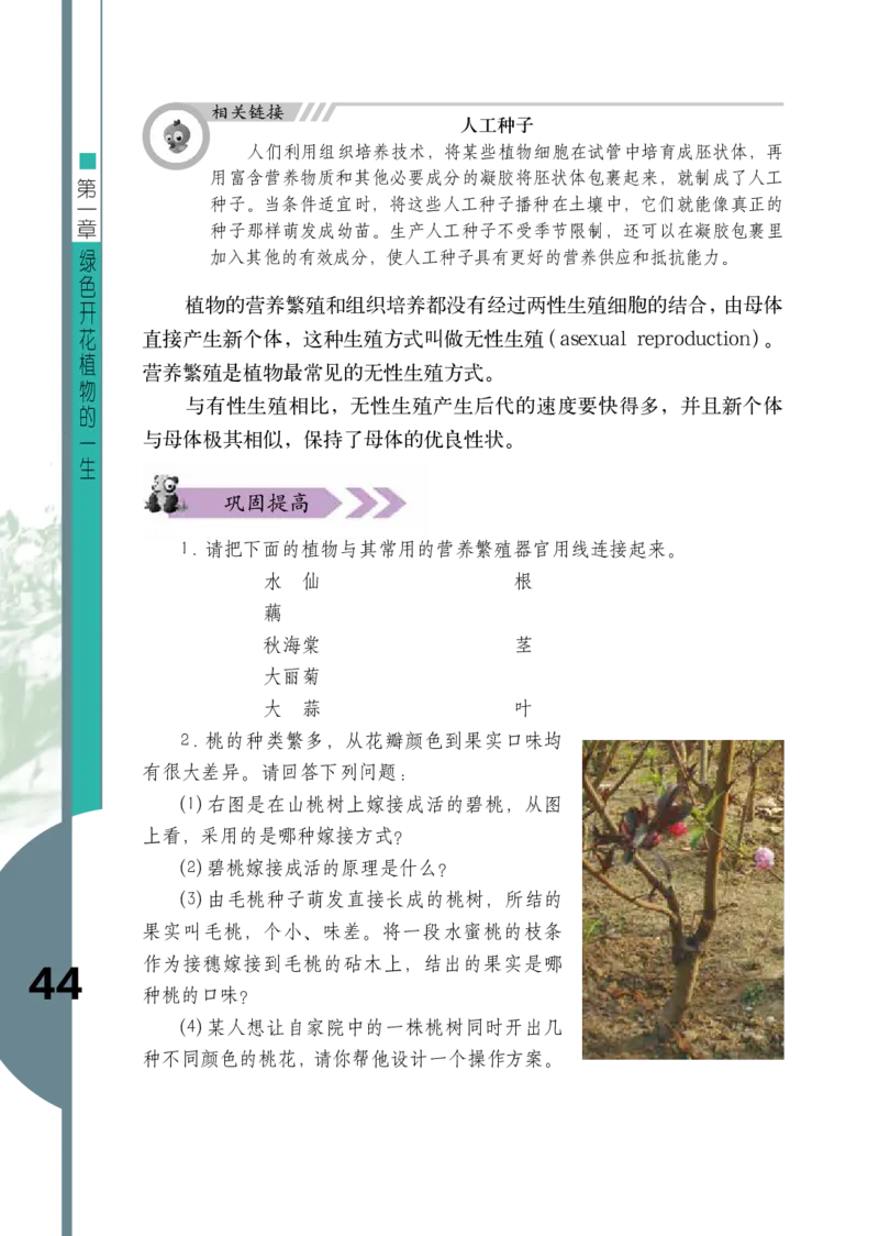 济南版8年级生物上册高清教材_4-教培资料-26年最新资料-同步更新_初中高中教资_03科三专项（进去保存报考的学科即可）_02科三专项（笔记真题思维导图教学设计版本二）