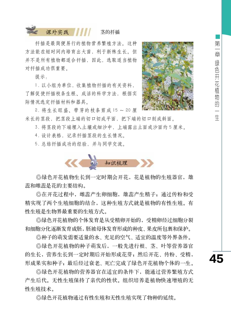 济南版8年级生物上册高清教材_4-教培资料-26年最新资料-同步更新_初中高中教资_03科三专项（进去保存报考的学科即可）_02科三专项（笔记真题思维导图教学设计版本二）