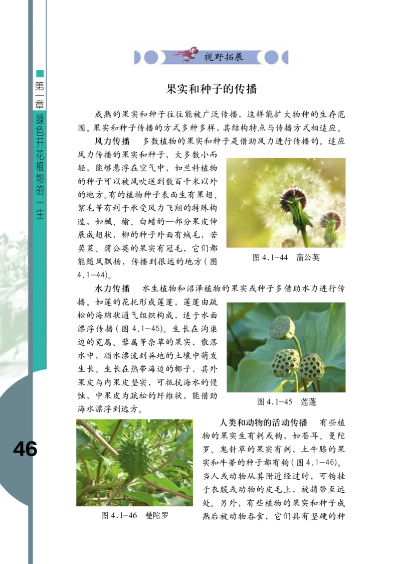 济南版8年级生物上册高清教材_4-教培资料-26年最新资料-同步更新_初中高中教资_03科三专项（进去保存报考的学科即可）_02科三专项（笔记真题思维导图教学设计版本二）