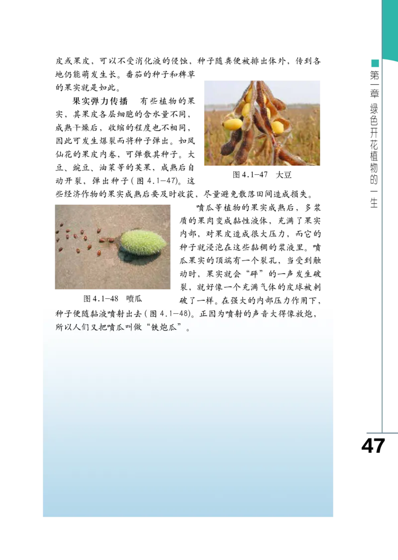 济南版8年级生物上册高清教材_4-教培资料-26年最新资料-同步更新_初中高中教资_03科三专项（进去保存报考的学科即可）_02科三专项（笔记真题思维导图教学设计版本二）