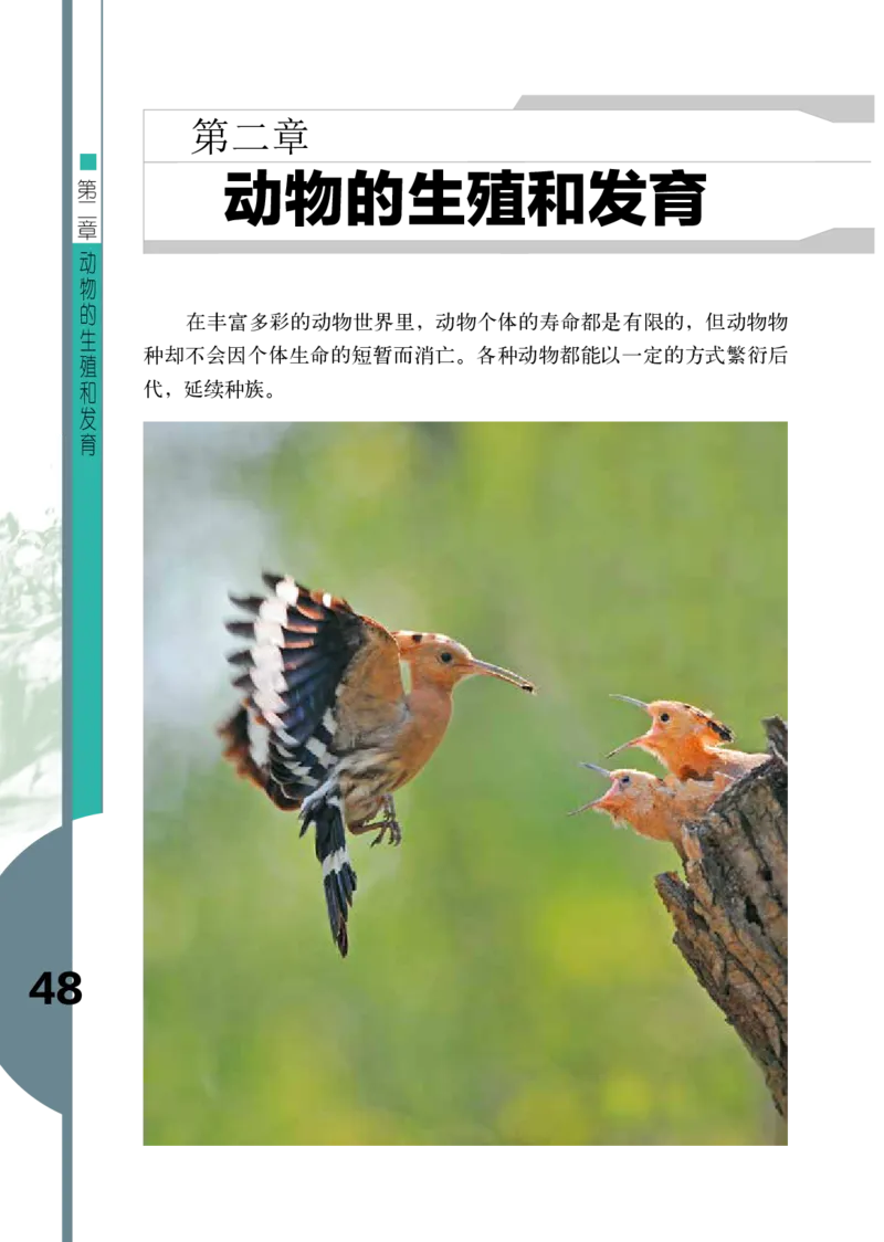 济南版8年级生物上册高清教材_4-教培资料-26年最新资料-同步更新_初中高中教资_03科三专项（进去保存报考的学科即可）_02科三专项（笔记真题思维导图教学设计版本二）