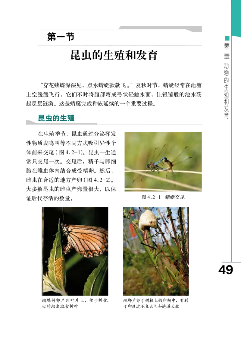 济南版8年级生物上册高清教材_4-教培资料-26年最新资料-同步更新_初中高中教资_03科三专项（进去保存报考的学科即可）_02科三专项（笔记真题思维导图教学设计版本二）
