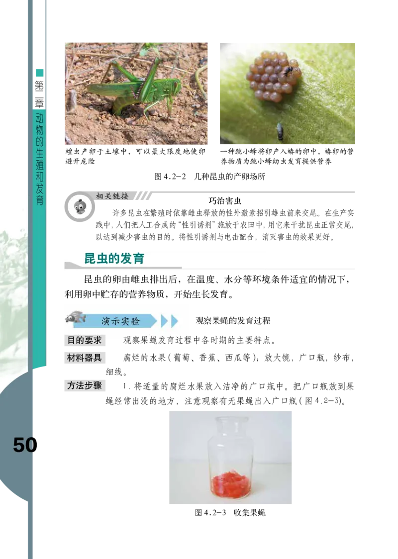 济南版8年级生物上册高清教材_4-教培资料-26年最新资料-同步更新_初中高中教资_03科三专项（进去保存报考的学科即可）_02科三专项（笔记真题思维导图教学设计版本二）