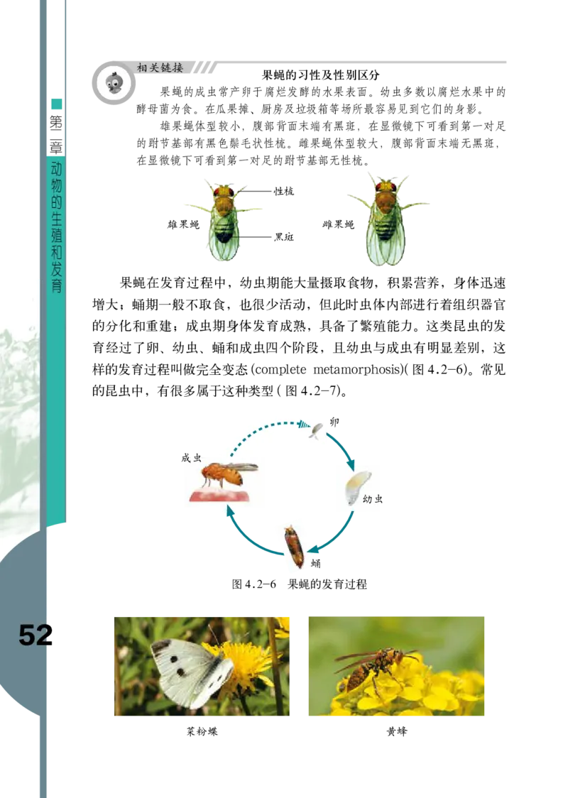济南版8年级生物上册高清教材_4-教培资料-26年最新资料-同步更新_初中高中教资_03科三专项（进去保存报考的学科即可）_02科三专项（笔记真题思维导图教学设计版本二）