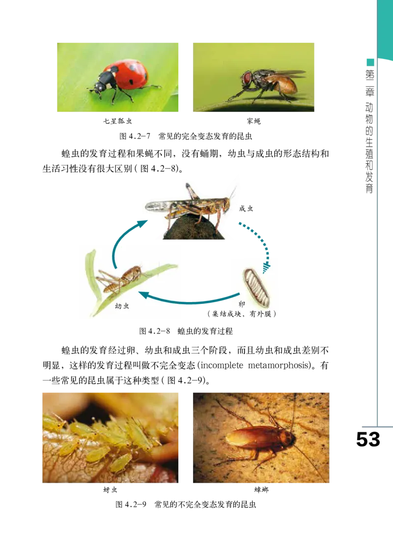 济南版8年级生物上册高清教材_4-教培资料-26年最新资料-同步更新_初中高中教资_03科三专项（进去保存报考的学科即可）_02科三专项（笔记真题思维导图教学设计版本二）