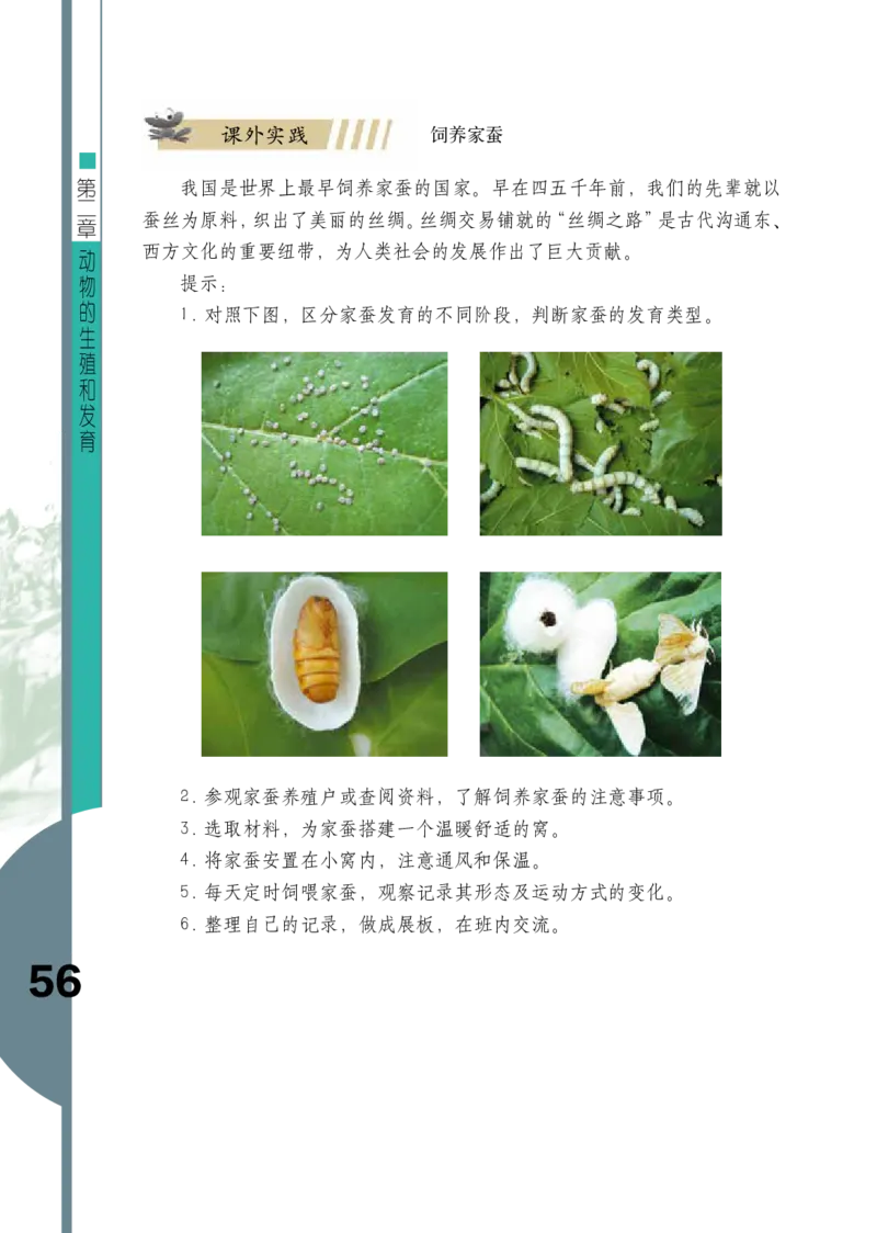 济南版8年级生物上册高清教材_4-教培资料-26年最新资料-同步更新_初中高中教资_03科三专项（进去保存报考的学科即可）_02科三专项（笔记真题思维导图教学设计版本二）