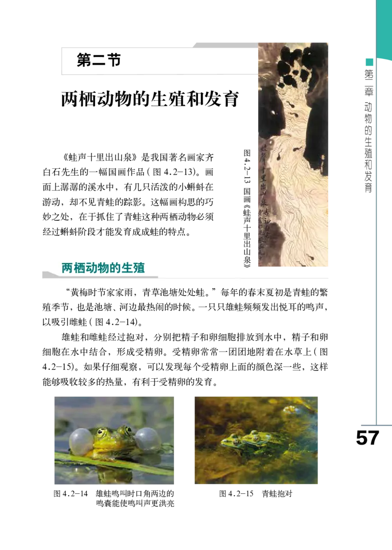 济南版8年级生物上册高清教材_4-教培资料-26年最新资料-同步更新_初中高中教资_03科三专项（进去保存报考的学科即可）_02科三专项（笔记真题思维导图教学设计版本二）
