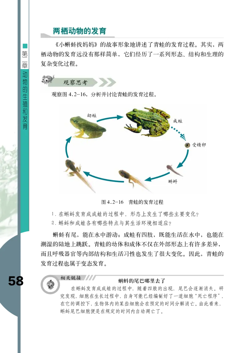 济南版8年级生物上册高清教材_4-教培资料-26年最新资料-同步更新_初中高中教资_03科三专项（进去保存报考的学科即可）_02科三专项（笔记真题思维导图教学设计版本二）