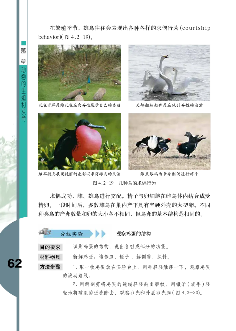 济南版8年级生物上册高清教材_4-教培资料-26年最新资料-同步更新_初中高中教资_03科三专项（进去保存报考的学科即可）_02科三专项（笔记真题思维导图教学设计版本二）