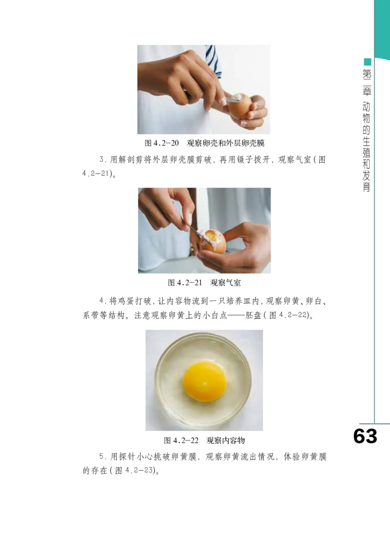 济南版8年级生物上册高清教材_4-教培资料-26年最新资料-同步更新_初中高中教资_03科三专项（进去保存报考的学科即可）_02科三专项（笔记真题思维导图教学设计版本二）