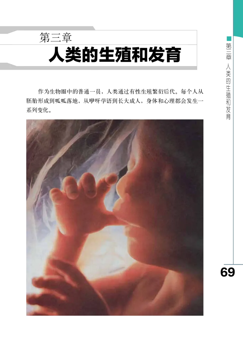 济南版8年级生物上册高清教材_4-教培资料-26年最新资料-同步更新_初中高中教资_03科三专项（进去保存报考的学科即可）_02科三专项（笔记真题思维导图教学设计版本二）