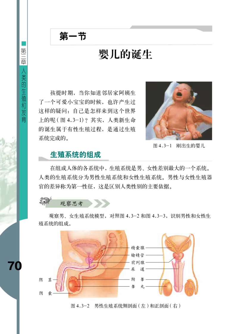 济南版8年级生物上册高清教材_4-教培资料-26年最新资料-同步更新_初中高中教资_03科三专项（进去保存报考的学科即可）_02科三专项（笔记真题思维导图教学设计版本二）