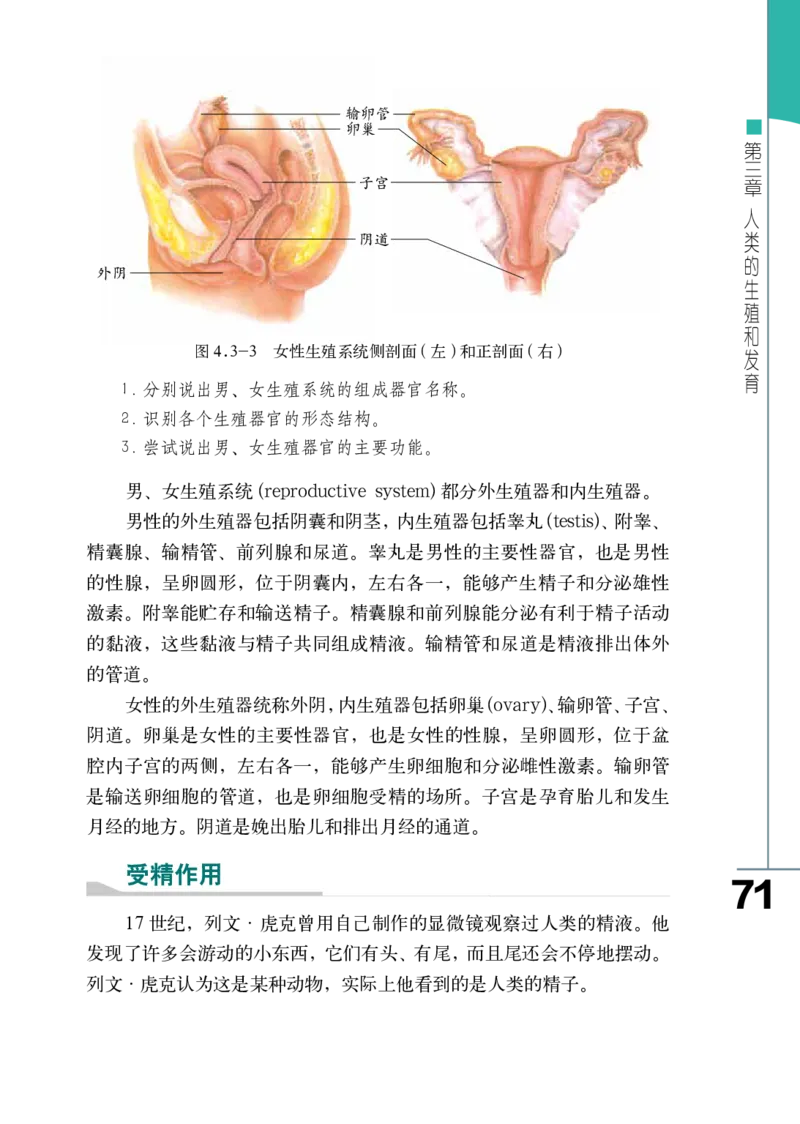 济南版8年级生物上册高清教材_4-教培资料-26年最新资料-同步更新_初中高中教资_03科三专项（进去保存报考的学科即可）_02科三专项（笔记真题思维导图教学设计版本二）