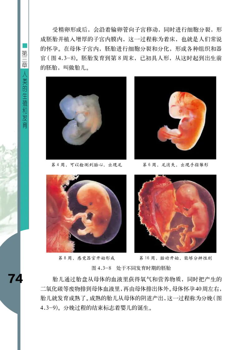 济南版8年级生物上册高清教材_4-教培资料-26年最新资料-同步更新_初中高中教资_03科三专项（进去保存报考的学科即可）_02科三专项（笔记真题思维导图教学设计版本二）